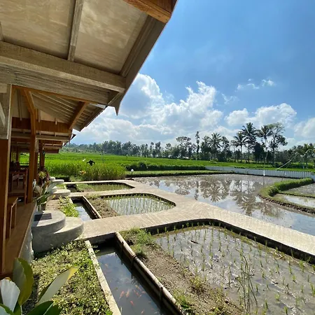 Tetebatu Flush Harmony Hotel Kamer foto