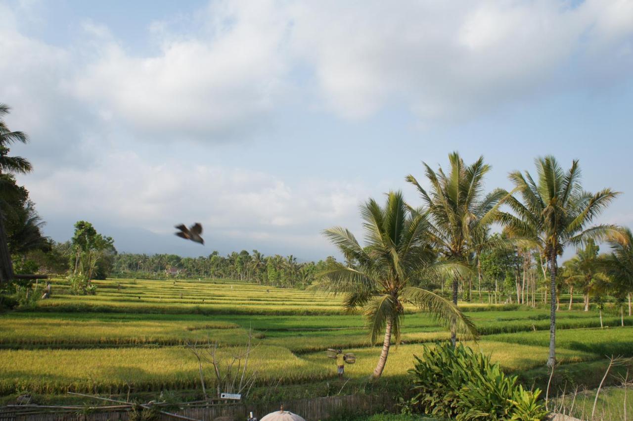 Flush Harmony Vakantiepark Tetebatu