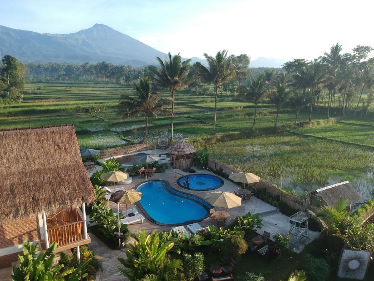 Flush Harmony Vakantiepark Tetebatu