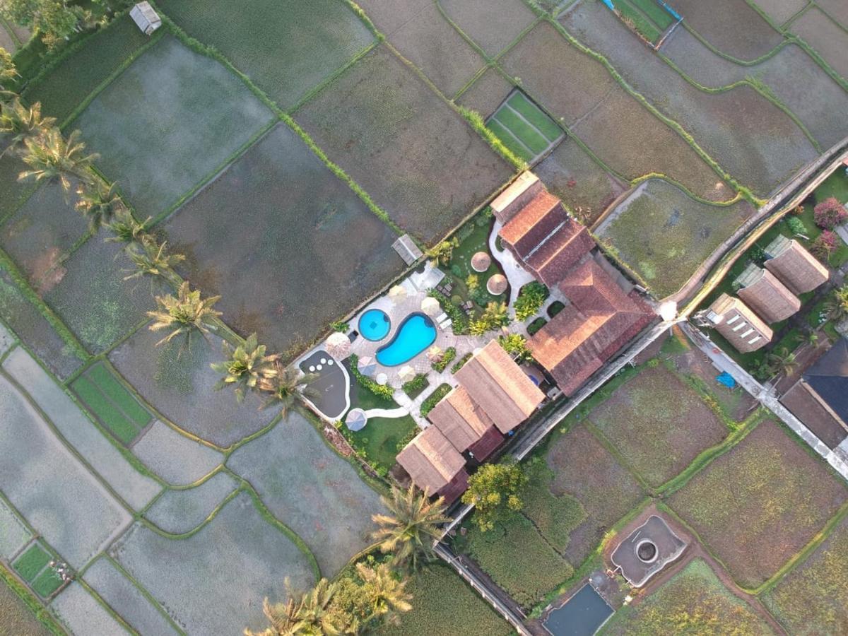 Flush Harmony 2* Tetebatu