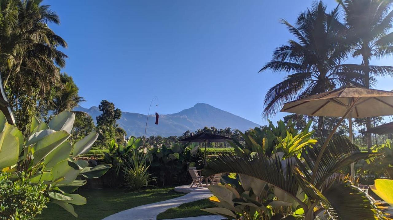 Vakantiepark Flush Harmony Tetebatu