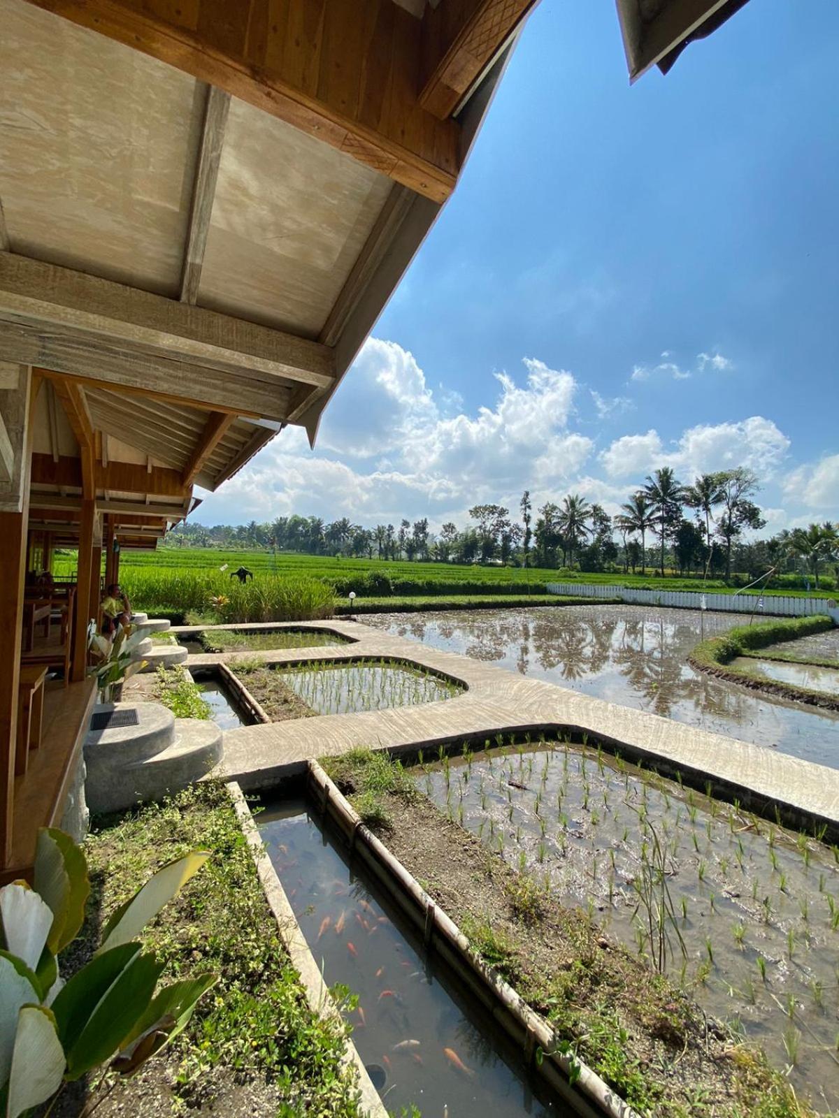 Flush Harmony Vakantiepark 2*
